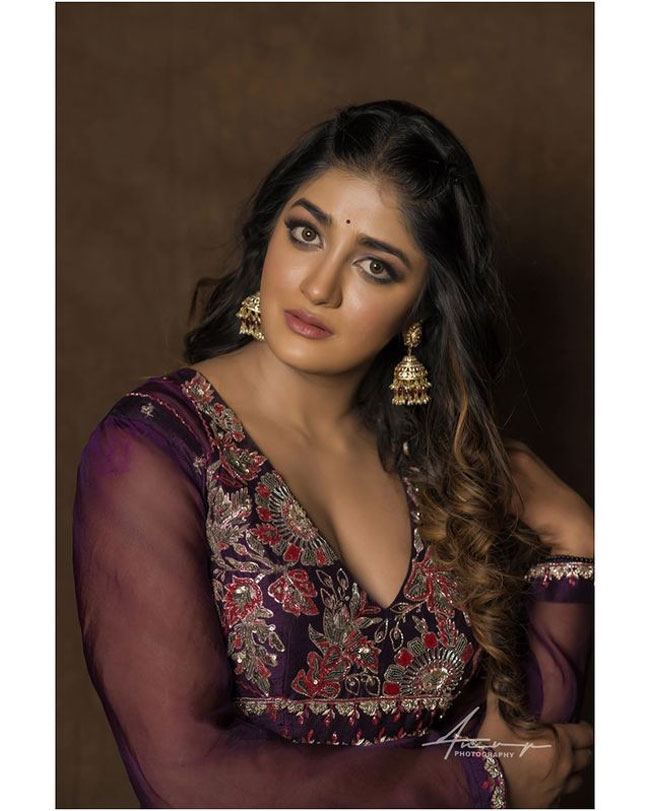 Staggering Poses Of Dimple Hayathi